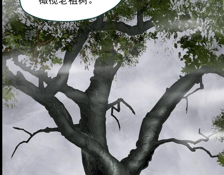 怪奇实录韩漫全集-第330话 贞节橄榄树（上）无删减无遮挡章节图片 