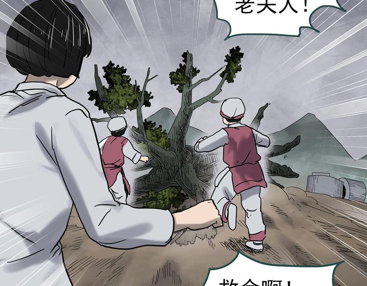 怪奇实录韩漫全集-第331话 贞节橄榄树（下）无删减无遮挡章节图片 