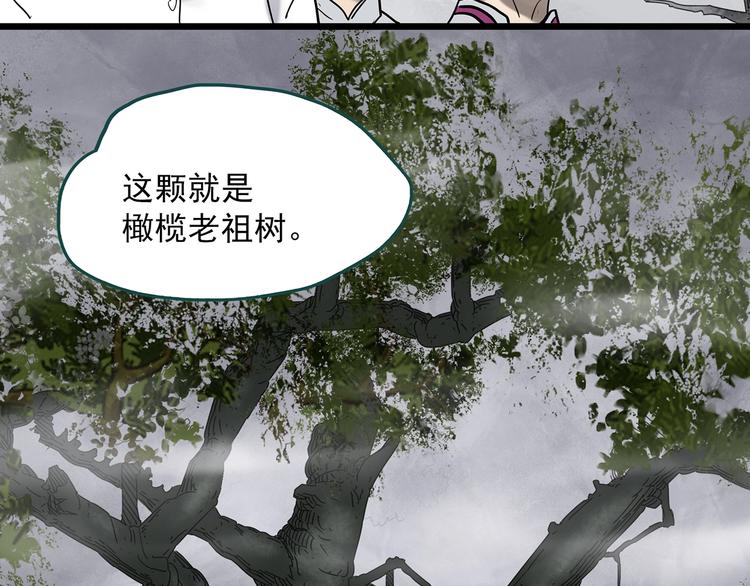 怪奇实录韩漫全集-第331话 贞节橄榄树（下）无删减无遮挡章节图片 