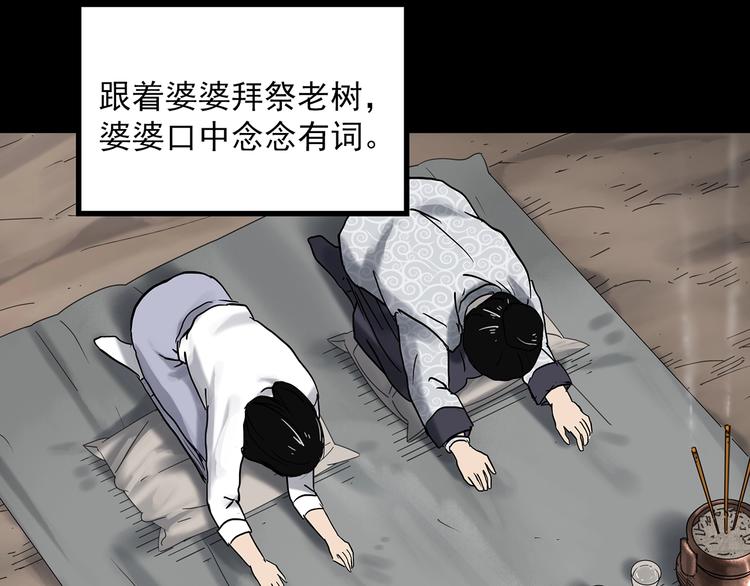 怪奇实录韩漫全集-第331话 贞节橄榄树（下）无删减无遮挡章节图片 