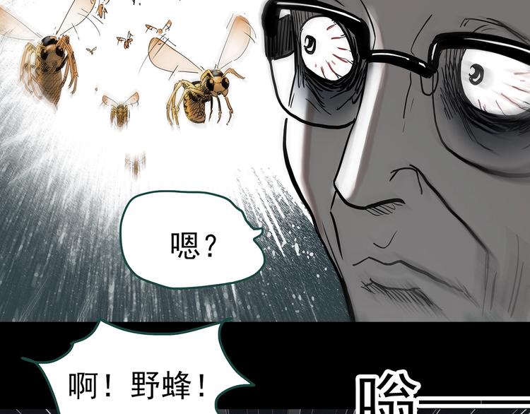 怪奇实录韩漫全集-第334话 人头蜂巢（上）无删减无遮挡章节图片 