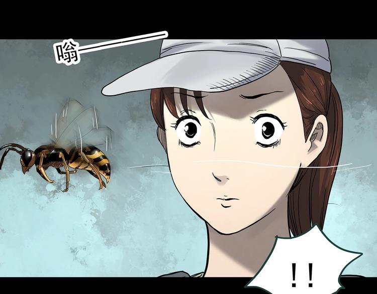 怪奇实录韩漫全集-第334话 人头蜂巢（上）无删减无遮挡章节图片 