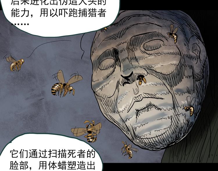 怪奇实录韩漫全集-第334话 人头蜂巢（上）无删减无遮挡章节图片 