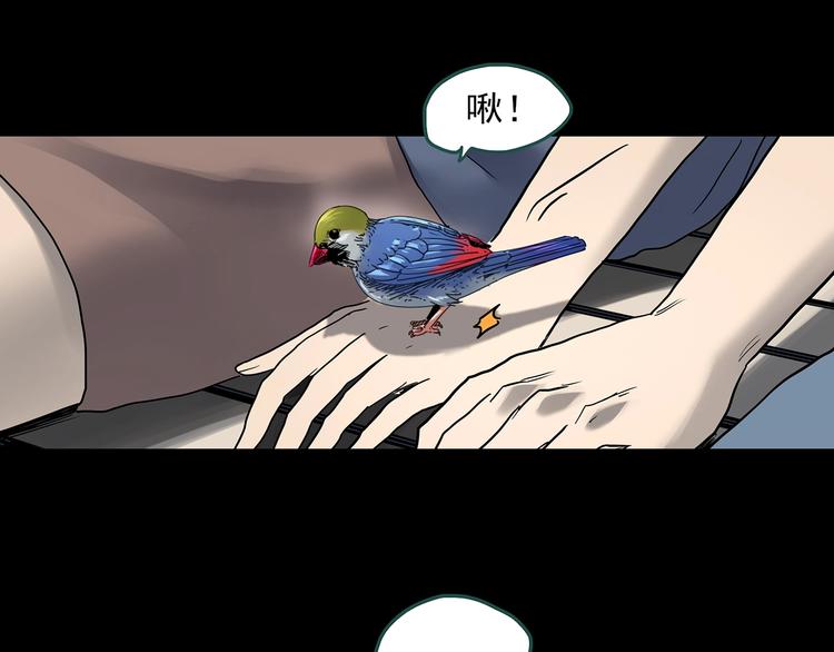 怪奇实录韩漫全集-第360话 VR愿无删减无遮挡章节图片 