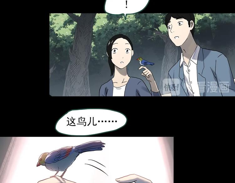 怪奇实录韩漫全集-第360话 VR愿无删减无遮挡章节图片 