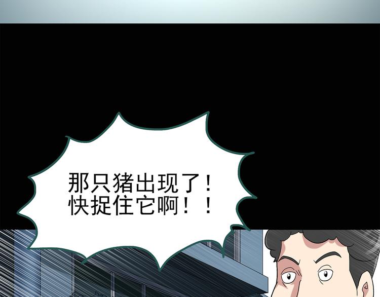 怪奇实录韩漫全集-第54话 背宝金猪（中）无删减无遮挡章节图片 