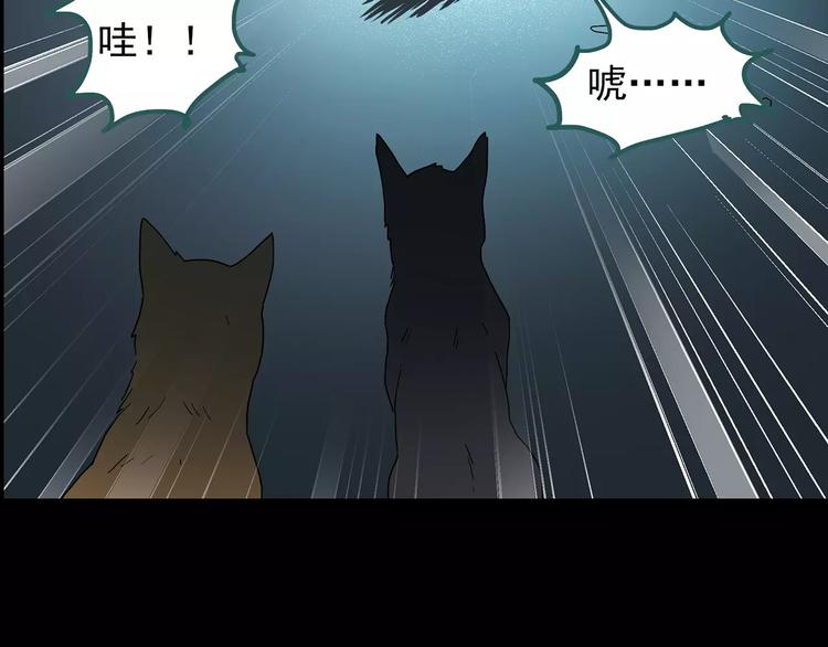 怪奇实录韩漫全集-第73话 蛇之诅咒（五）无删减无遮挡章节图片 