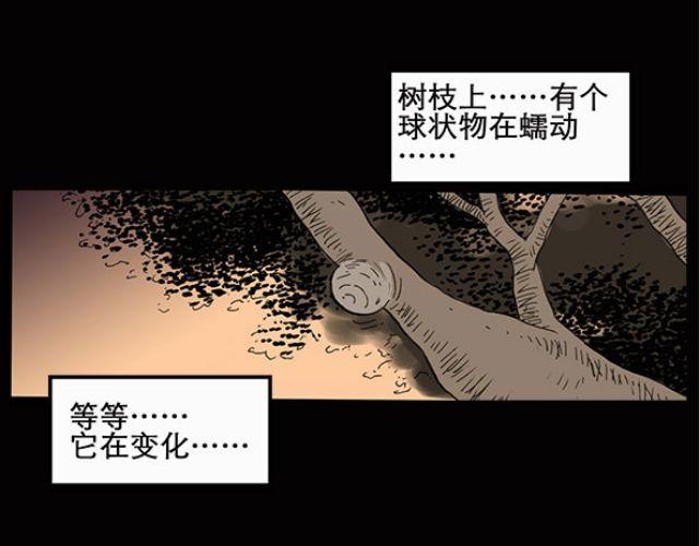 怪奇实录韩漫全集-第10话 配偶树（上）无删减无遮挡章节图片 