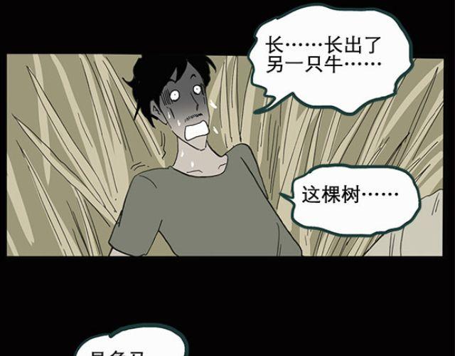 怪奇实录韩漫全集-第10话 配偶树（上）无删减无遮挡章节图片 