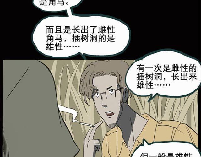 怪奇实录韩漫全集-第10话 配偶树（上）无删减无遮挡章节图片 