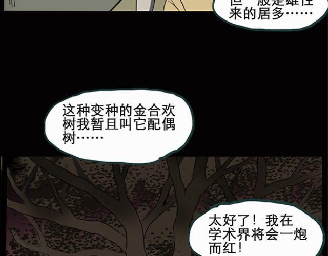 怪奇实录韩漫全集-第10话 配偶树（上）无删减无遮挡章节图片 