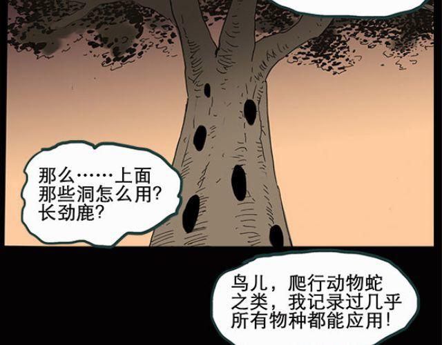 怪奇实录韩漫全集-第10话 配偶树（上）无删减无遮挡章节图片 