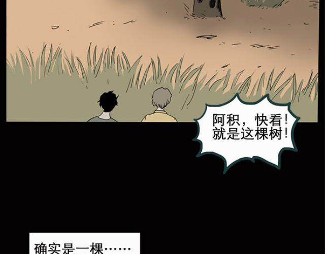 怪奇实录韩漫全集-第10话 配偶树（上）无删减无遮挡章节图片 