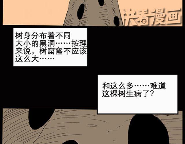 怪奇实录韩漫全集-第10话 配偶树（上）无删减无遮挡章节图片 