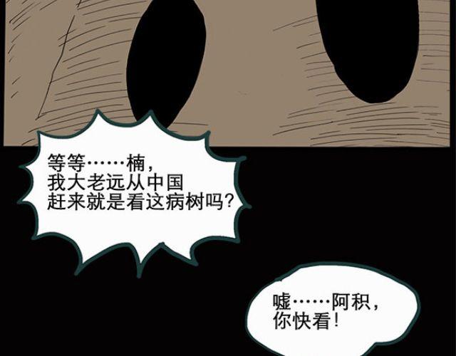 怪奇实录韩漫全集-第10话 配偶树（上）无删减无遮挡章节图片 