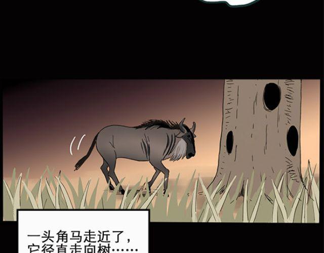怪奇实录韩漫全集-第10话 配偶树（上）无删减无遮挡章节图片 