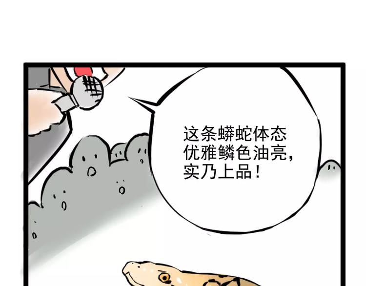 怪医不语韩漫全集-小剧场2无删减无遮挡章节图片 