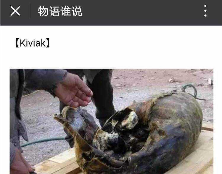 怪医不语韩漫全集-新春特辑无删减无遮挡章节图片 
