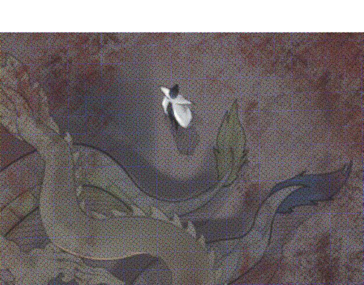 怪医不语韩漫全集-第37话 封龙无删减无遮挡章节图片 