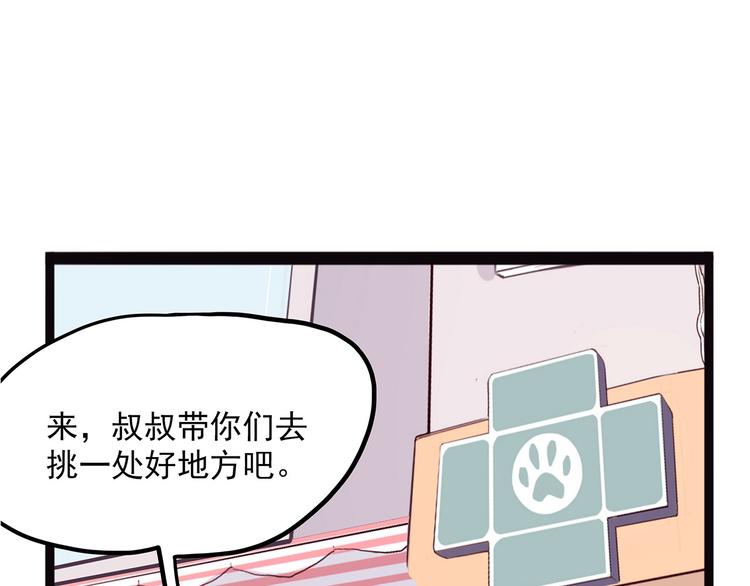 怪医不语韩漫全集-第3话 喵星无删减无遮挡章节图片 
