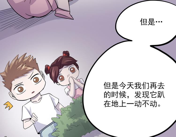 怪医不语韩漫全集-第3话 喵星无删减无遮挡章节图片 