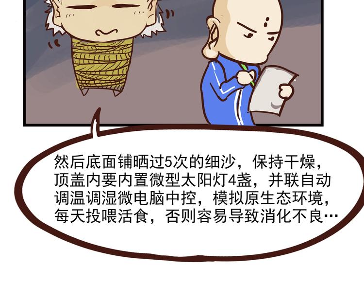 怪医不语韩漫全集-小剧场无删减无遮挡章节图片 