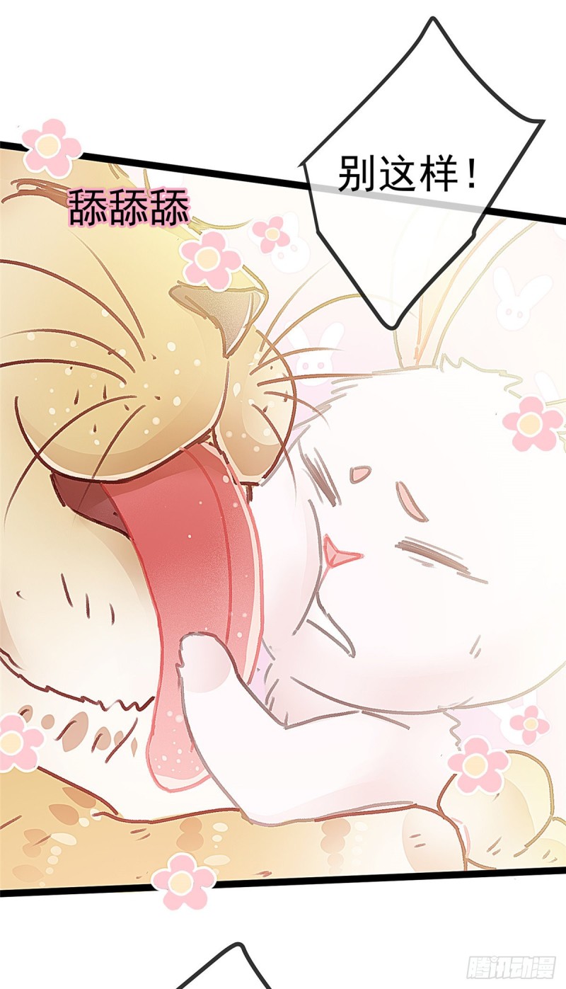 贵妃每天只想当咸鱼韩漫全集-026无删减无遮挡章节图片 