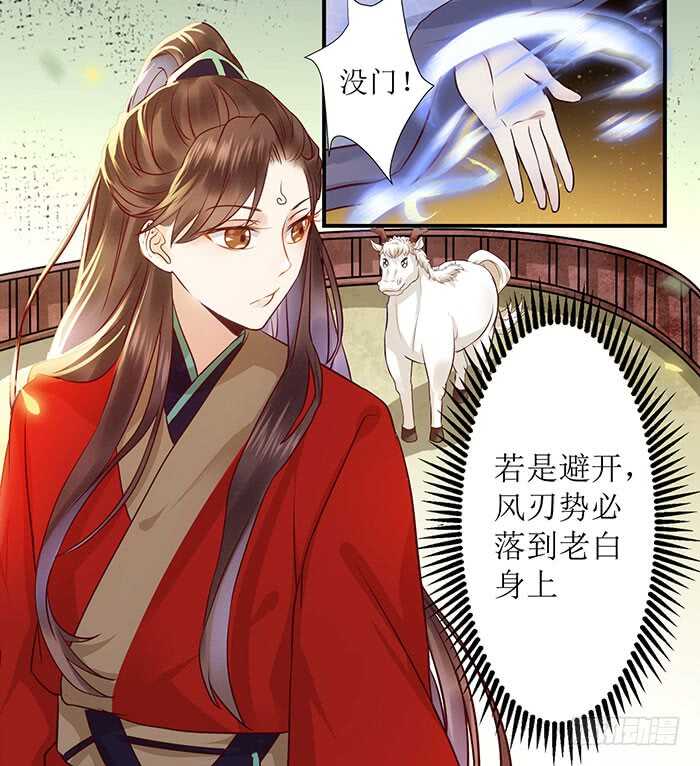 鬼医凤九韩漫全集-老白被偷无删减无遮挡章节图片 