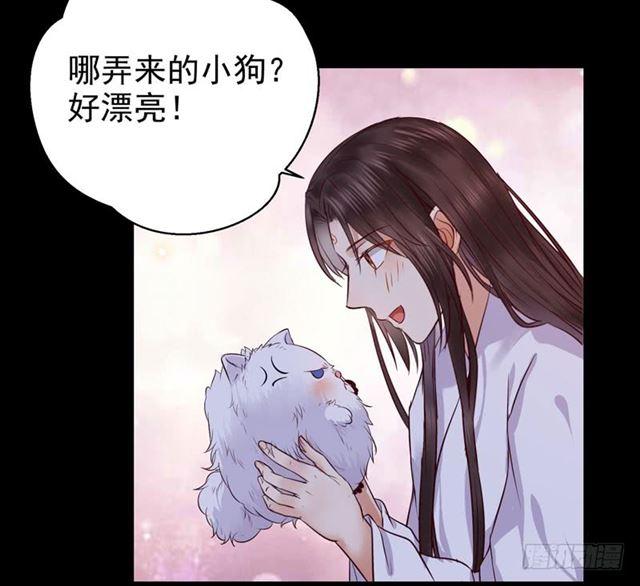 鬼医凤九韩漫全集-被推倒了无删减无遮挡章节图片 