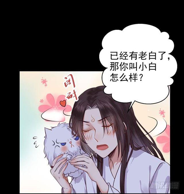 鬼医凤九韩漫全集-被推倒了无删减无遮挡章节图片 