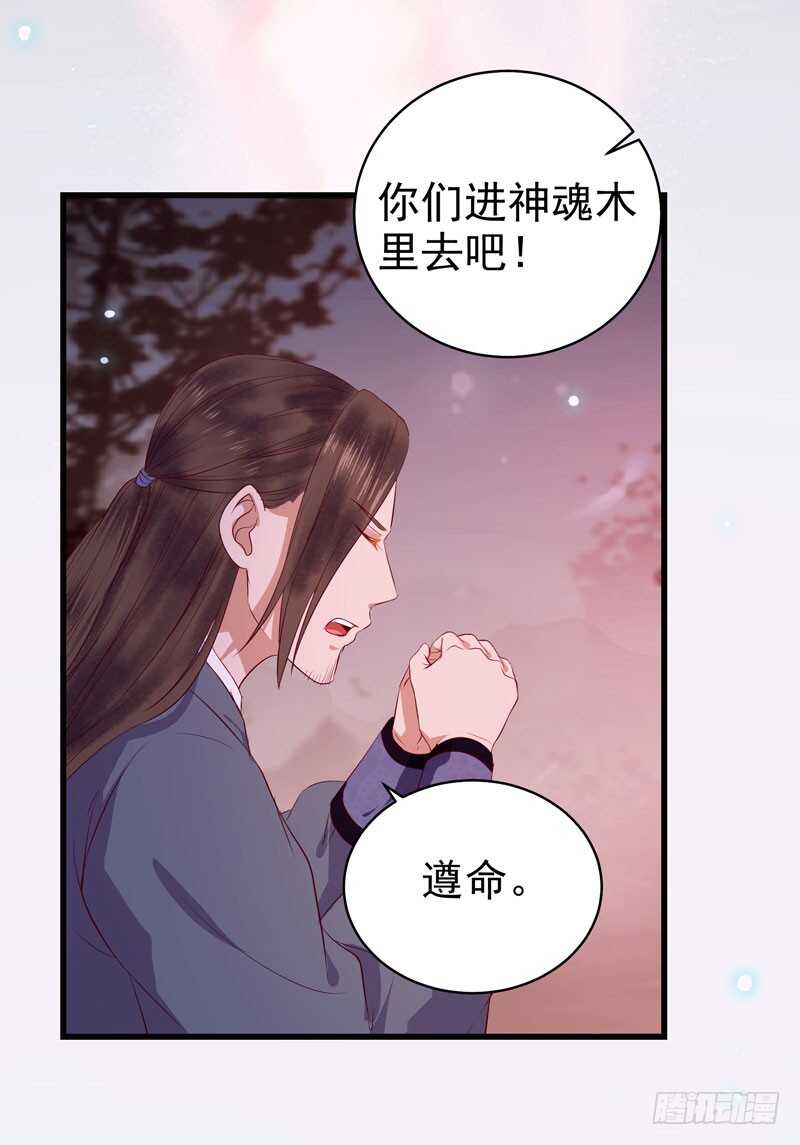 鬼医凤九韩漫全集-神魂木无删减无遮挡章节图片 