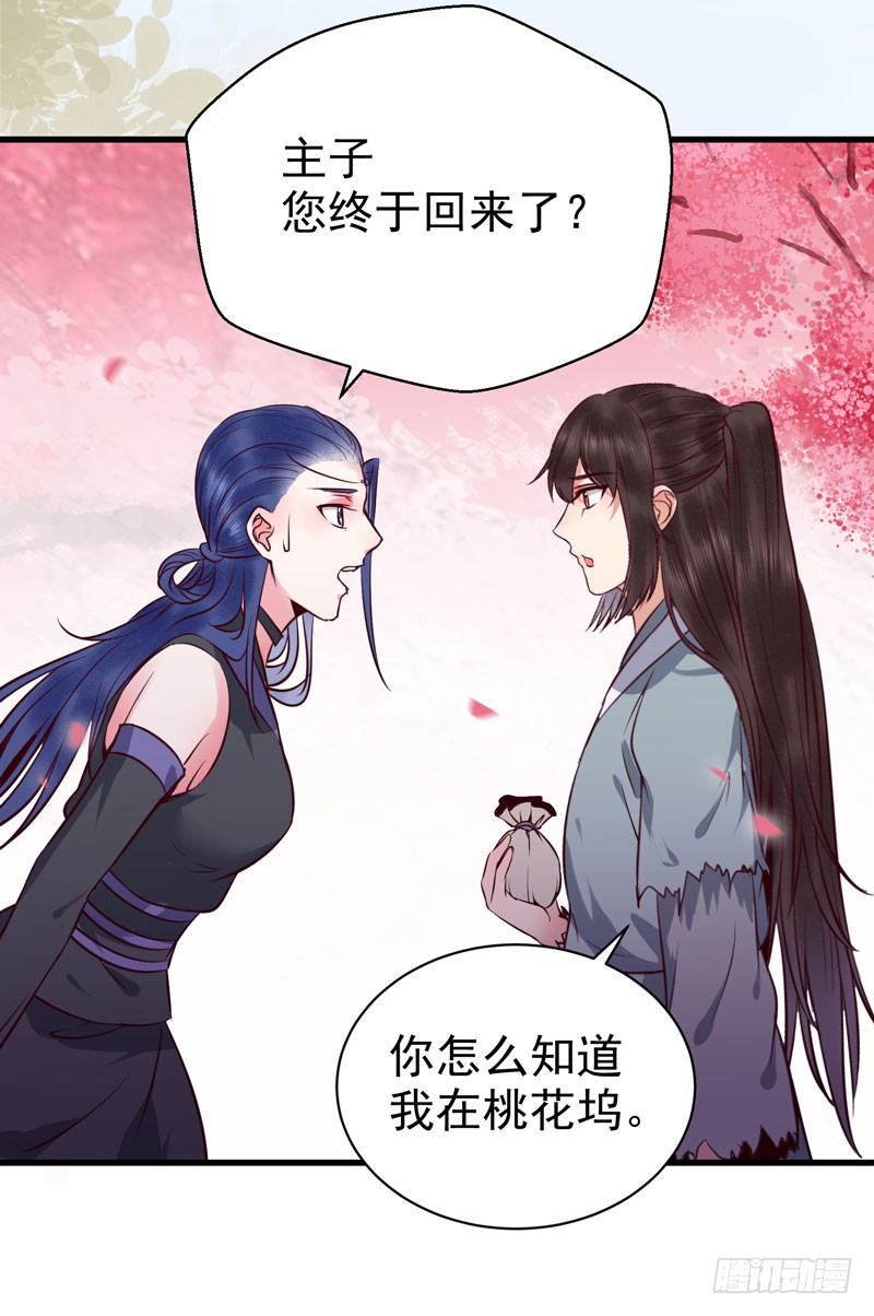 鬼医凤九韩漫全集-冲着老白来无删减无遮挡章节图片 
