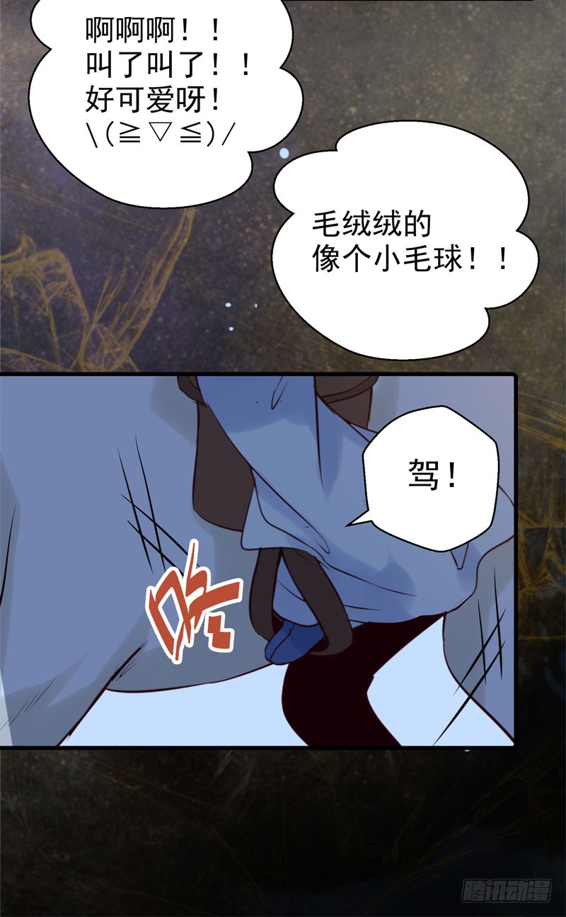 鬼医凤九韩漫全集-引蛇出洞无删减无遮挡章节图片 