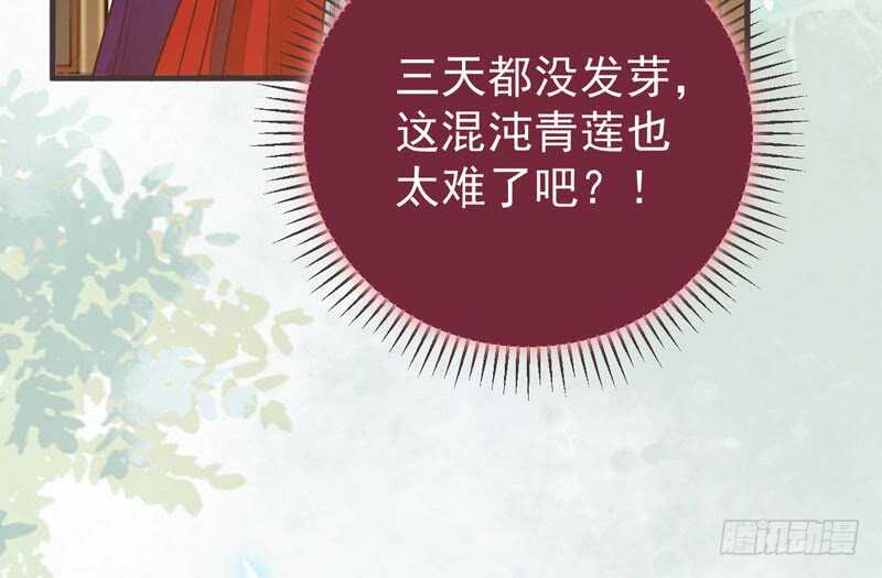 鬼医凤九韩漫全集-混沌青莲无删减无遮挡章节图片 