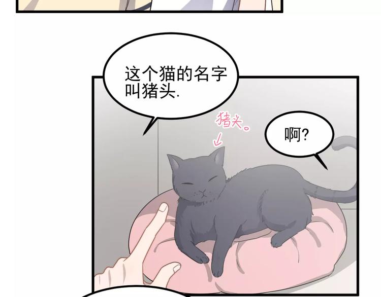 过度接触韩漫全集-第43话 你是猪头无删减无遮挡章节图片 