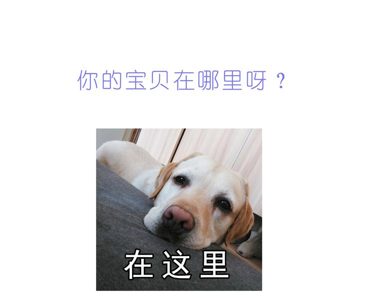 嗨，我喜欢你韩漫全集-第220话 你的宝贝在这里无删减无遮挡章节图片 