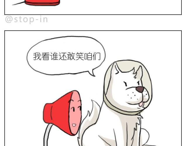 嗨，我喜欢你韩漫全集-你胖不胖我说了算无删减无遮挡章节图片 