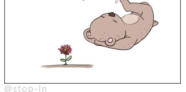 嗨，我喜欢你韩漫全集-脸红的苹果无删减无遮挡章节图片 
