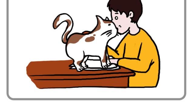 嗨，我喜欢你韩漫全集-无处不在的小温暖无删减无遮挡章节图片 