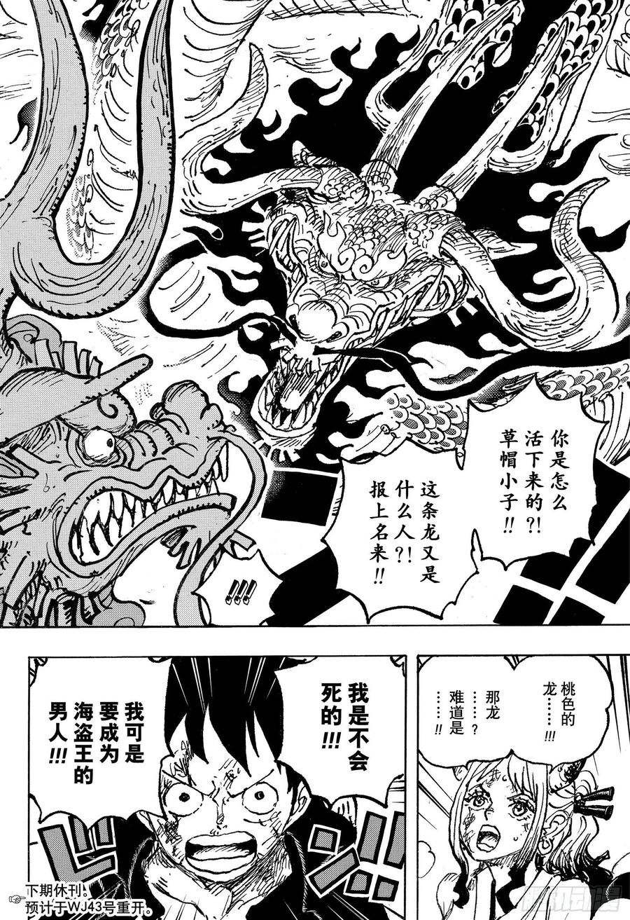 航海王韩漫全集-第1025话 双龙图无删减无遮挡章节图片 