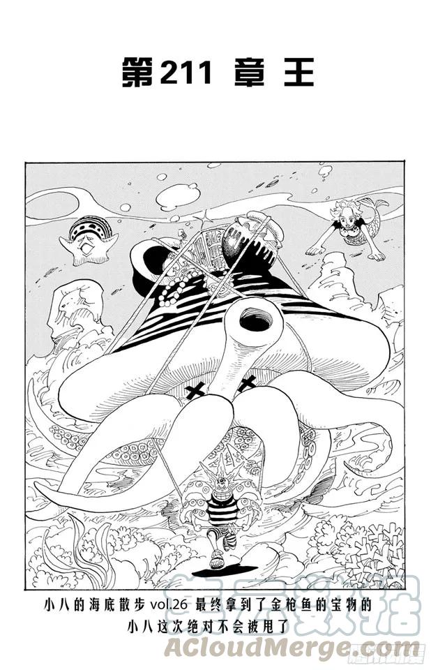 航海王韩漫全集-第211话 国王无删减无遮挡章节图片 
