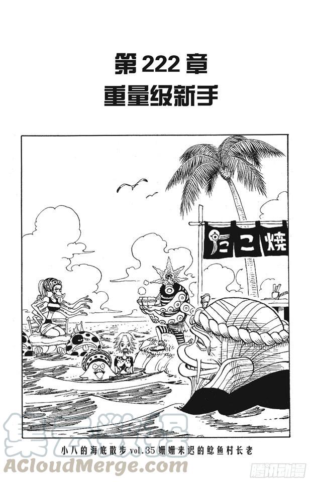航海王韩漫全集-第222话 重量级新手无删减无遮挡章节图片 