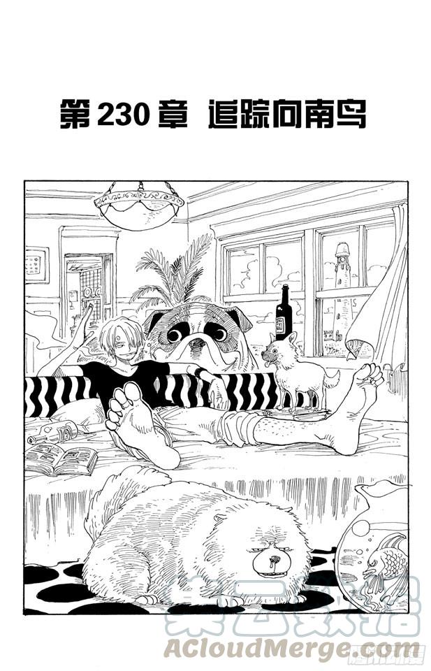 航海王韩漫全集-第230话 追踪向南鸟无删减无遮挡章节图片 