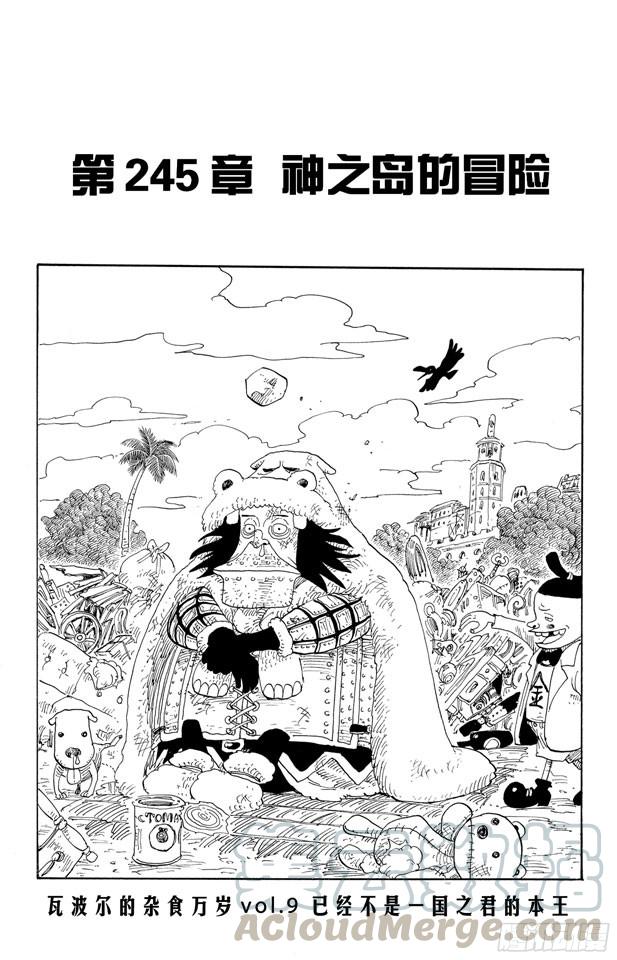 航海王韩漫全集-第245话 神之岛的冒险无删减无遮挡章节图片 