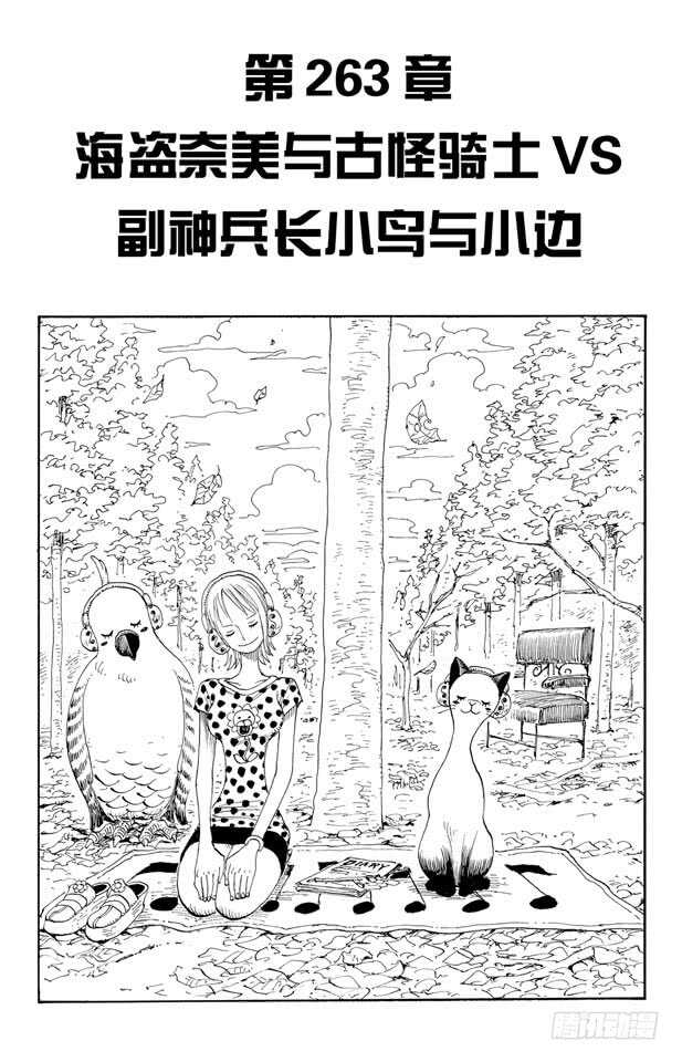航海王韩漫全集-第263话 海盗奈美与古怪骑士无删减无遮挡章节图片 