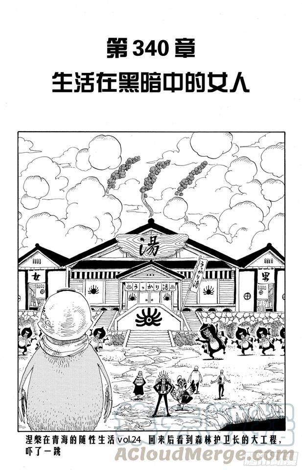 航海王韩漫全集-第340话 生活在黑暗中的女人无删减无遮挡章节图片 