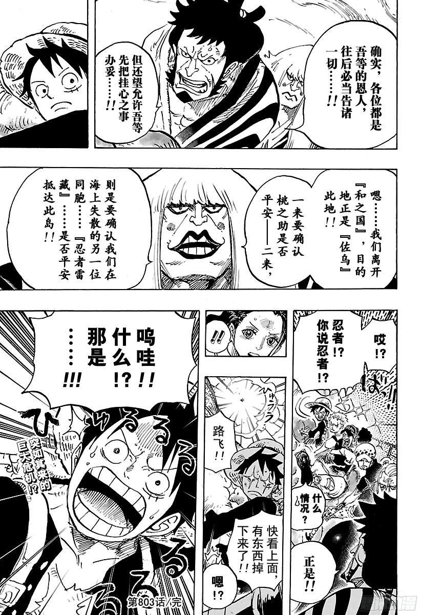 航海王韩漫全集-第802话 佐乌无删减无遮挡章节图片 