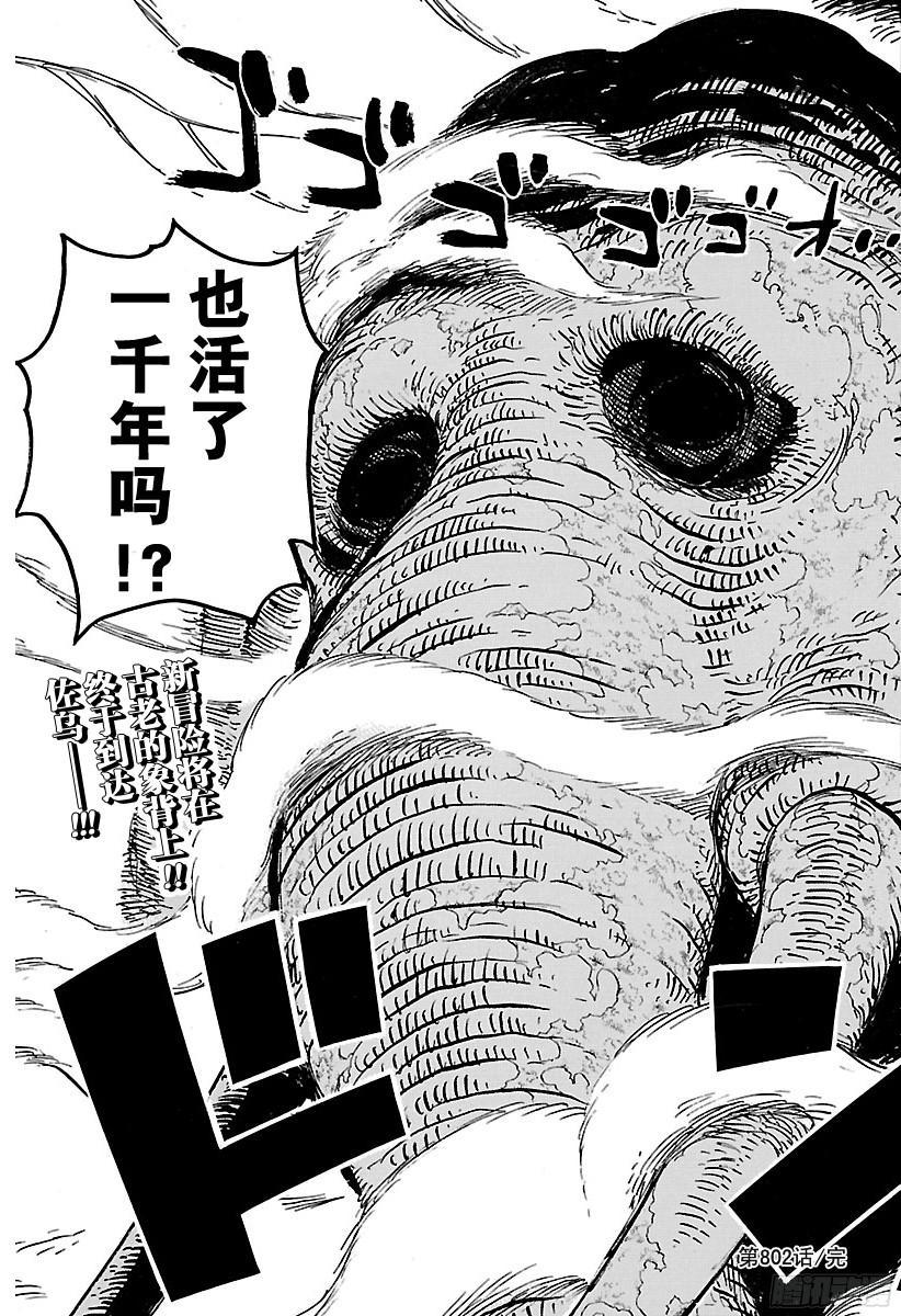 航海王韩漫全集-第802话 佐乌无删减无遮挡章节图片 