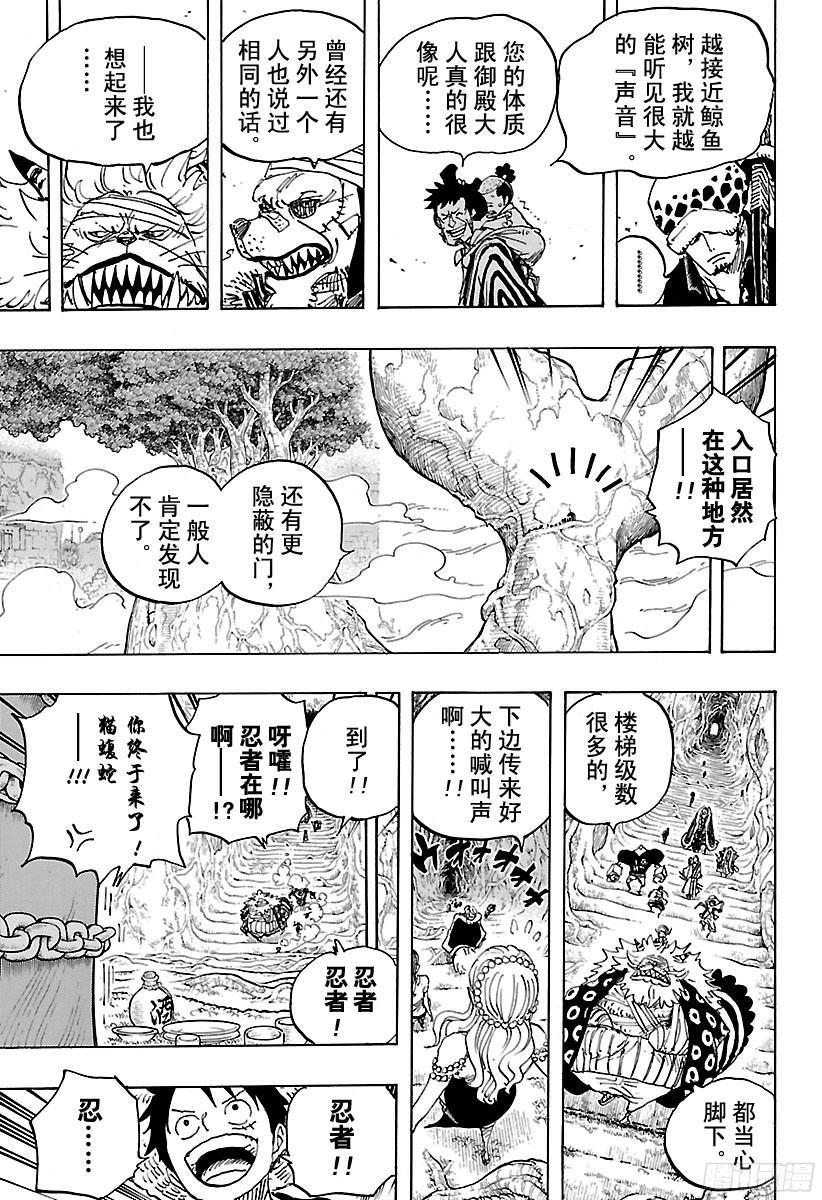 航海王韩漫全集-第816话 犬 VS猫无删减无遮挡章节图片 