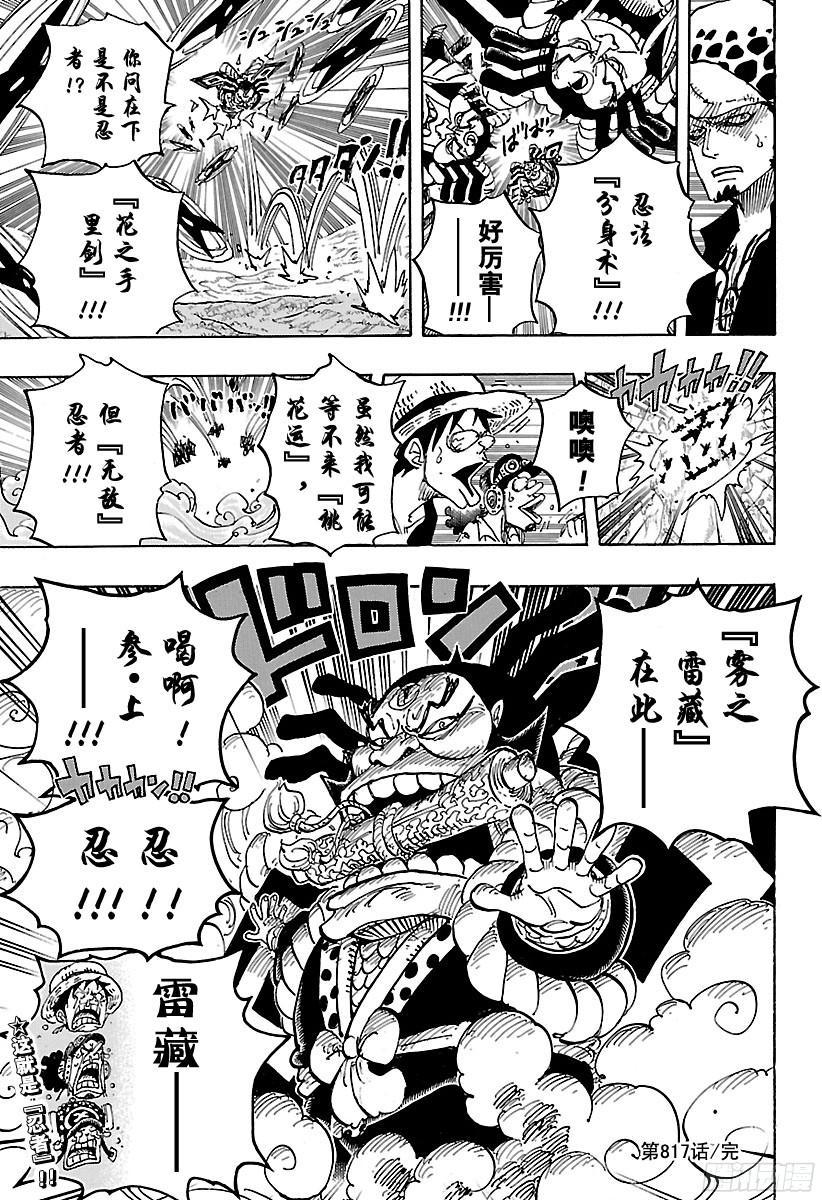 航海王韩漫全集-第816话 犬 VS猫无删减无遮挡章节图片 